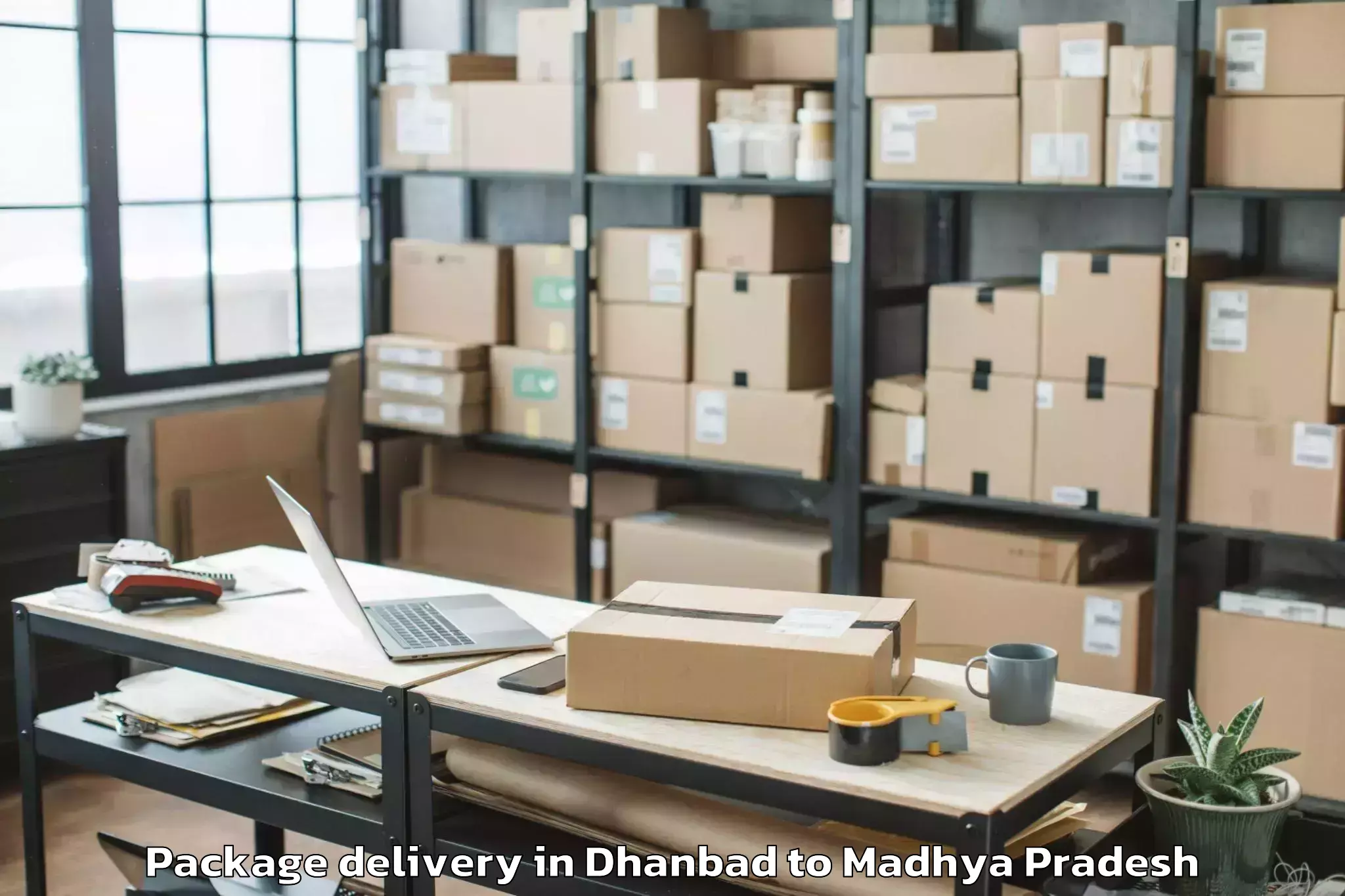 Get Dhanbad to Harsud Package Delivery